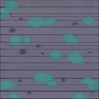 lichen-speckled weathered plank floor