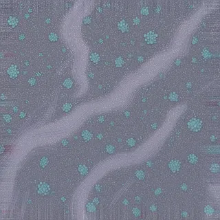 lichen-speckled fine gravel path