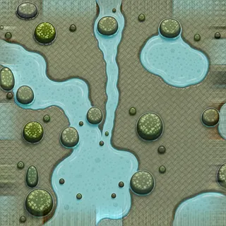 lichen-speckled wet mud