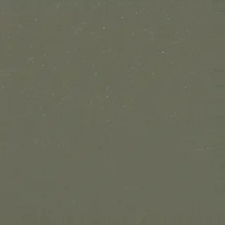 clean bank sediment