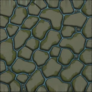 damp mossy paving