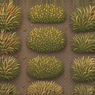 overgrown autumn grass