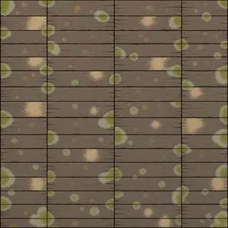 lichen-speckled weathered plank floor
