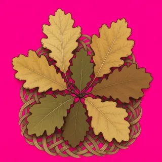 dry leaves, clustered arrangement