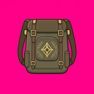 backpack, rare accent design