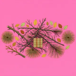 scattered twigs, clustered arrangement