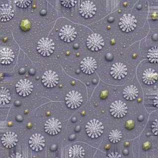 lichen-speckled bank sediment