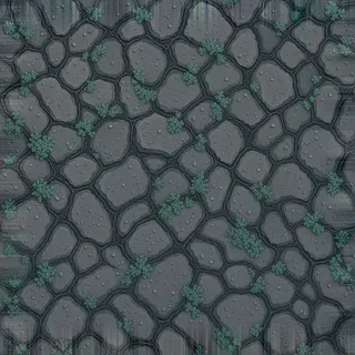 lichen-speckled damp stone