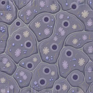 lichen-speckled mineral sediment