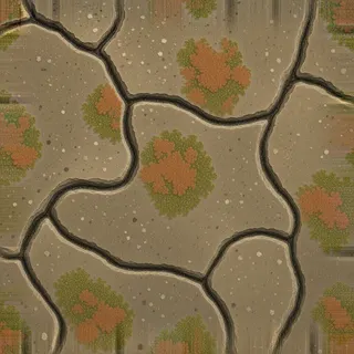 lichen-speckled rough stone floor