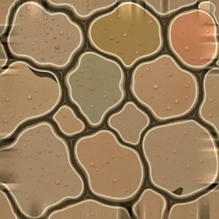clean cracked earth