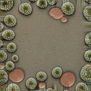 lichen-speckled wet mud