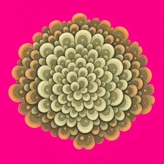 lichen patch, clustered arrangement