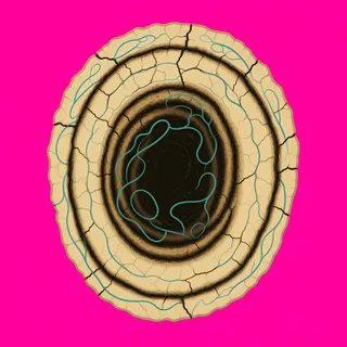 scorch mark, sparse arrangement
