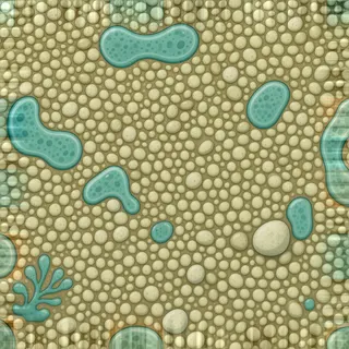 damp pale pebbles