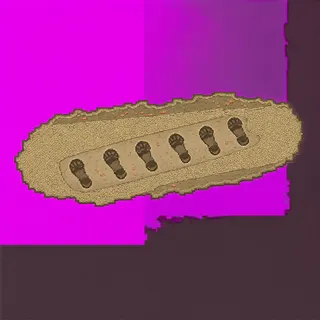 footprints, elongated arrangement