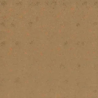 clean earthen floor