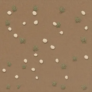overgrown pale pebbles