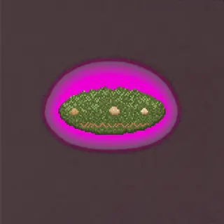 small moss patch, elongated arrangement