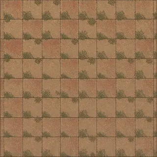 overgrown dusty tiled floor
