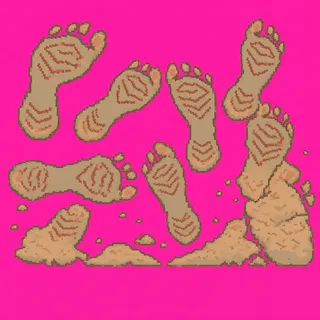footprints, sparse arrangement