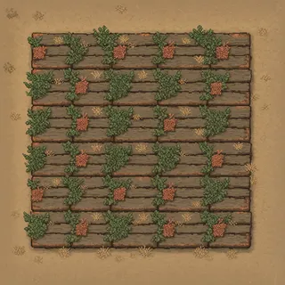 overgrown weathered plank floor
