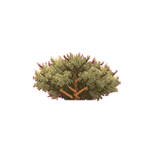 clean low bush