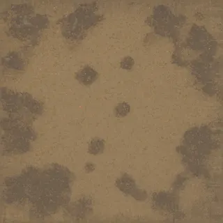 weathered wet mud