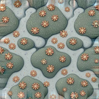 lichen-speckled low bank moss
