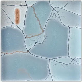 dust-covered frosted ice