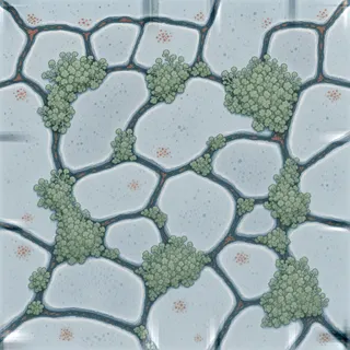 lichen-speckled flat paving