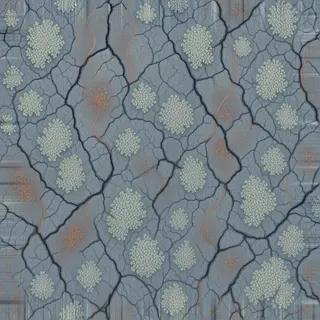 lichen-speckled exposed rock