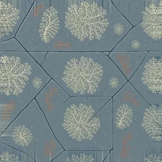 lichen-speckled rough stone floor