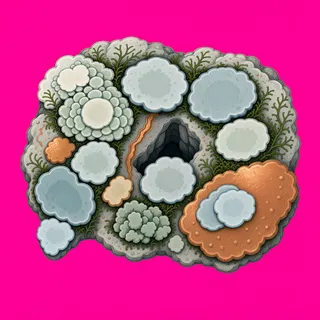 lichen patch, dense arrangement