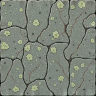 lichen-speckled rough stone floor