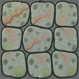 lichen-speckled flat paving
