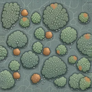 lichen-speckled earthen floor