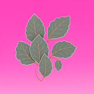 dry leaves, irregular arrangement