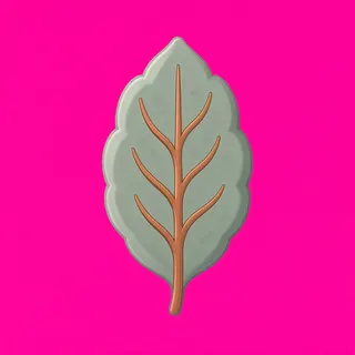 leaf, rare accent design