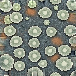 lichen-speckled fine gravel path