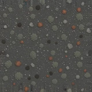 lichen-speckled fine rubble