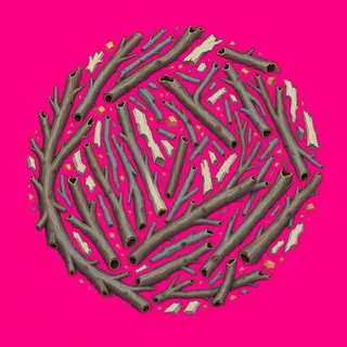 scattered twigs, clustered arrangement