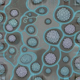 lichen-speckled wet mud