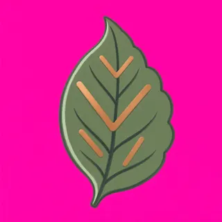 leaf, plain design