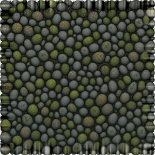 lichen-speckled river gravel