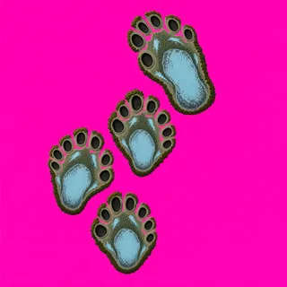 footprints, elongated arrangement