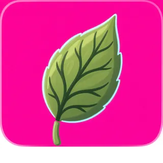 leaf, plain design