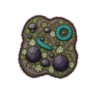 lichen patch, irregular arrangement