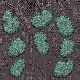 lichen-speckled wet mud