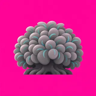 clean low bush